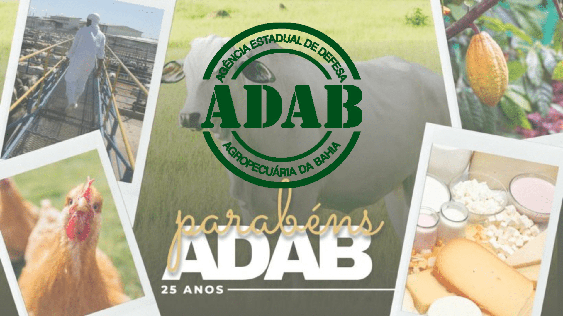 A Fundação Getúlio Vargas (FGV) organizará o próximo concurso ADAB 2024, da Agência de Defesa Agropecuária da Bahia