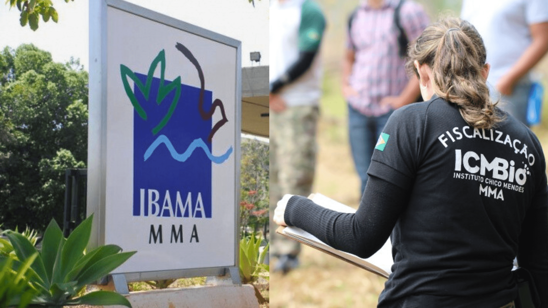 Marina Silva confirma concurso IBAMA e ICMBio em 2024! Veja: