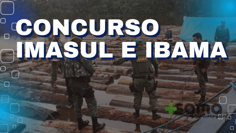 Concurso IMASUL e IBAMA 2024: Tudo Que Você Precisa Saber para Se Preparar