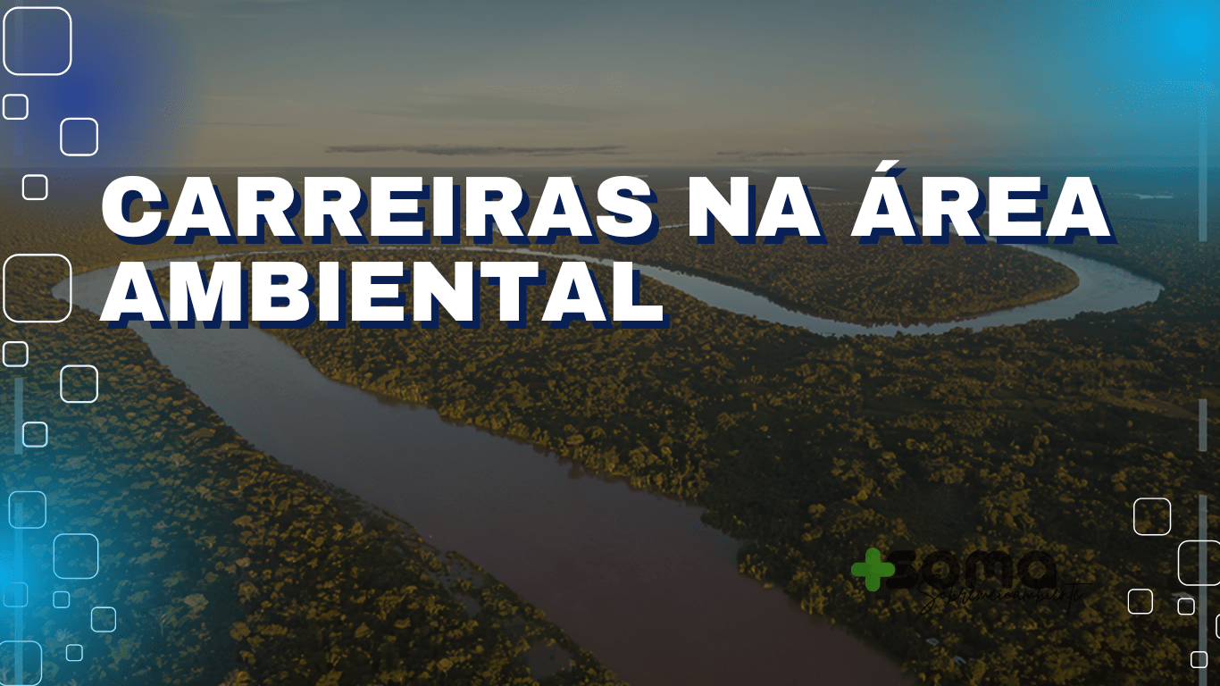 Confira os Principais Cargos e Concursos que Melhor Pagam na Área Ambiental