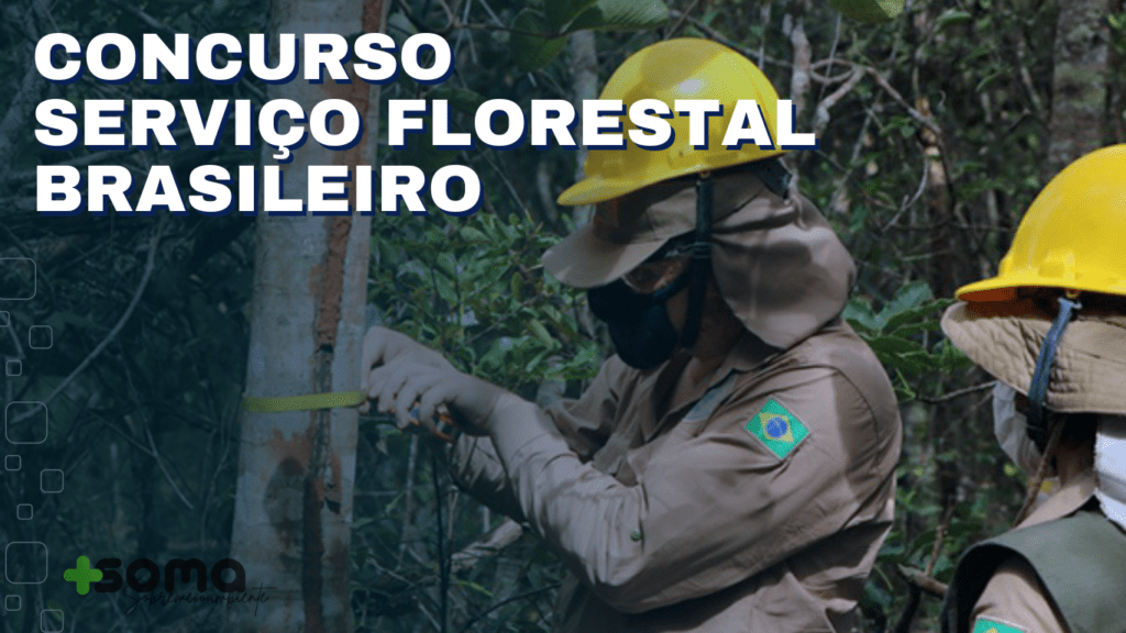 Concurso Serviço Florestal Brasileiro 2024: Cargos e Vagas
