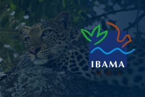 CONCURSO IBAMA