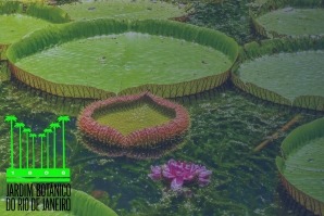 concurso jardim botânico RJ