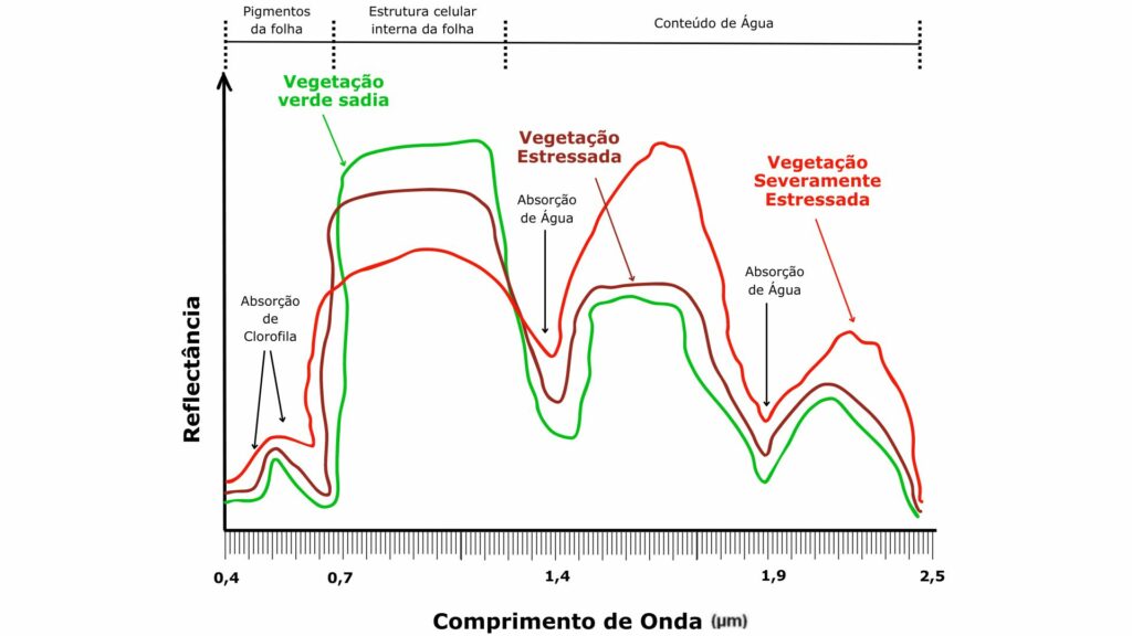 IBAMA - comportamento dos alvos