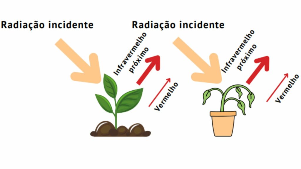 IBAMA - Radiação sobre o alvo