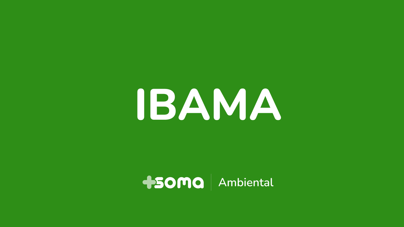 Soma Concurso IBAMA Abre Inscrições para Brigadistas com Salário de Até R$ 3.300 no Edital 38-2024