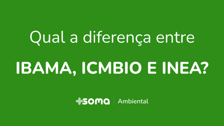 Soma Concurso Qual a diferença entre Ibama, ICMBio e INEA?