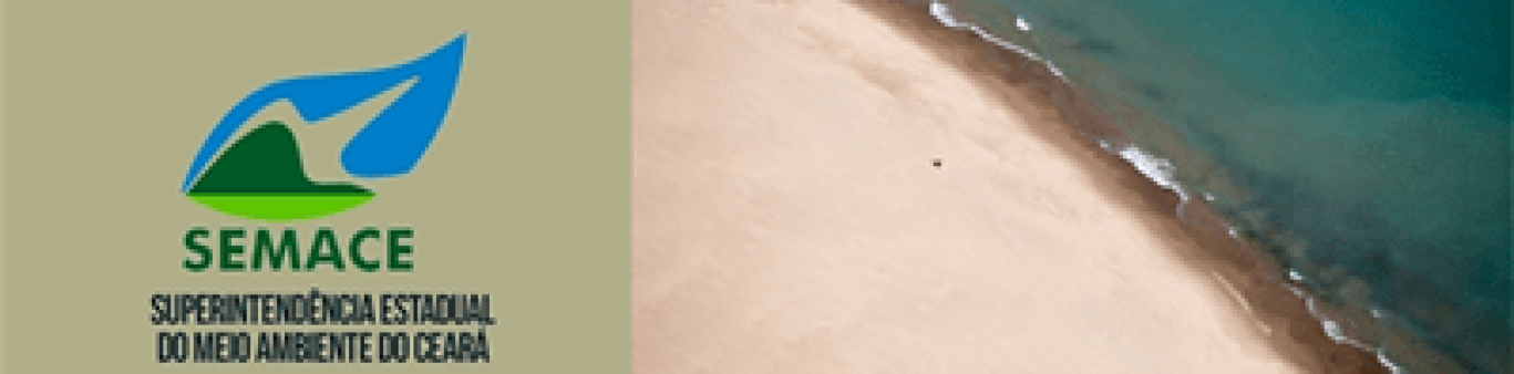 90_T