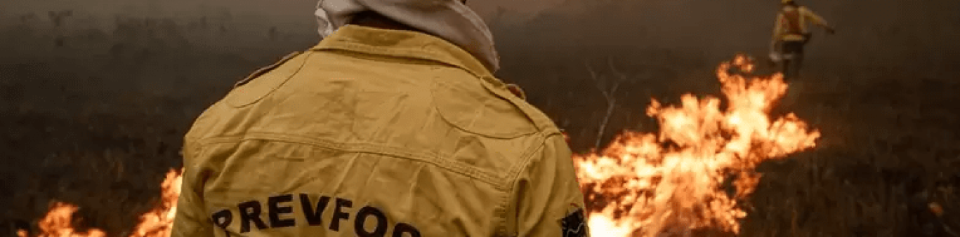 IBAMA: edital publicado! São mais de 1.000 vagas para temporários! Confira: