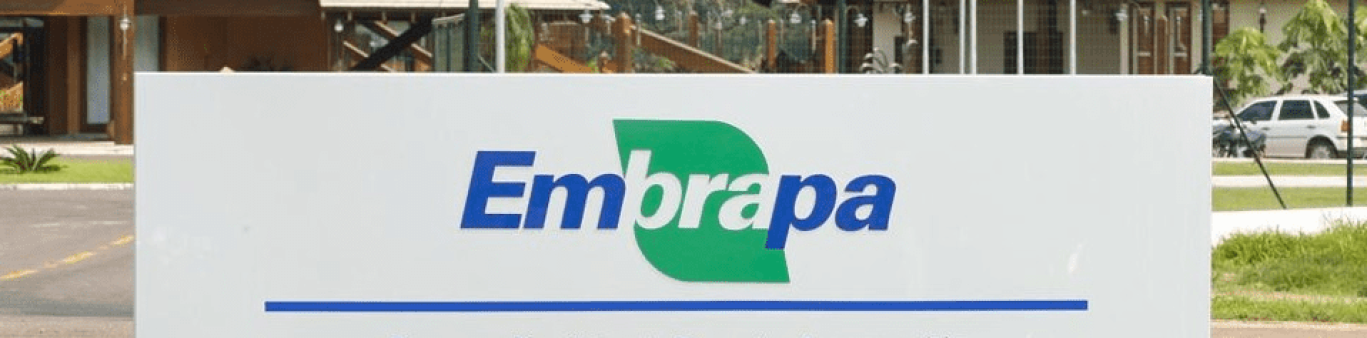 Edital do concurso EMBRAPA segue previsto para 2024, confira: