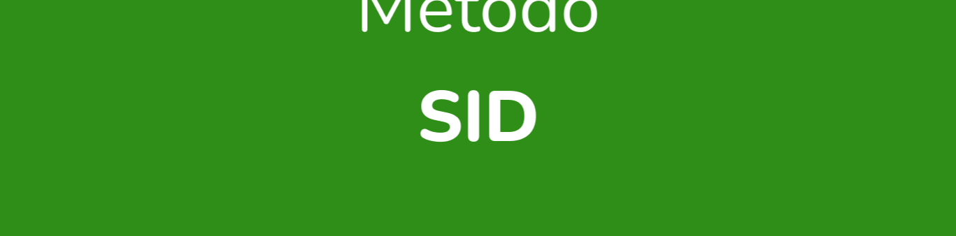 Método Soma de Interpretação Detalhada (SID) – O Treinamento Completo para Provas de Concurso