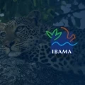 CONCURSO IBAMA