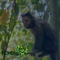 ICMBIO