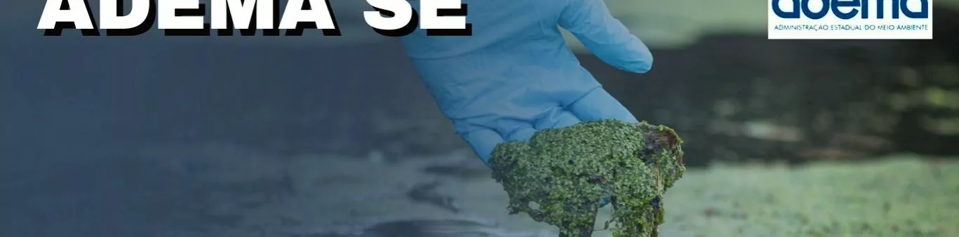 CONCURSO ADEMA SE Inscrições do Concurso ADEMA SE São Prorrogadas até 31/05, Veja: