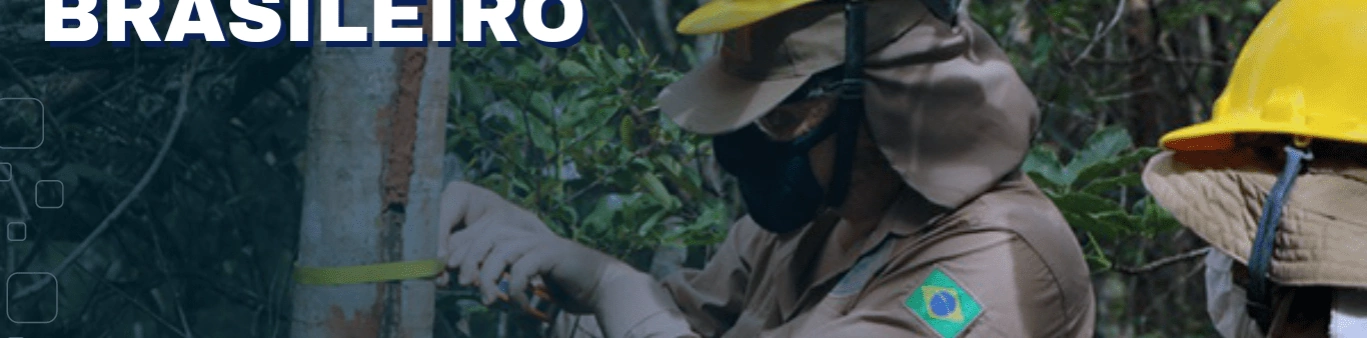 CONCURSO SERVIÇO FLORESTAL BRASILEIRO
