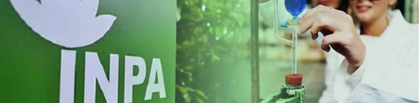 Concurso INPA 2023: banca definida! Edital até dia 09/10! Veja: